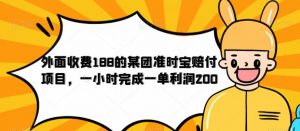 外面收费188的美团准时宝赔付项目,一小时完成一单利润200【仅揭秘】-聚富社