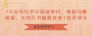 16天小红书导流接单营,教你引爆流量,在小红书精准获客+转化成交-聚富社