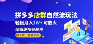 拼多多店群自然流玩法,轻松月入1W+保姆级视频教程(附上货、拍单工具)-聚富社