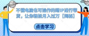 不懂电脑也可操作的蹭IP进行带货,让你轻松月入过万【揭秘】-聚富社