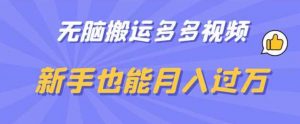 无脑搬运多多视频,新手也能月入过万【揭秘】-聚富社