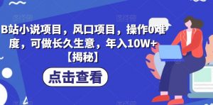 B站小说项目,风口项目,操作0难度,可做长久生意,年入10W+【揭秘】-聚富社