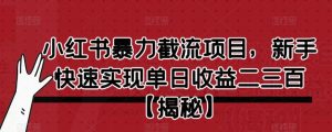 小红书暴力截流项目,新手快速实现单日收益二三百【仅揭秘】-聚富社