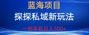 蓝海项目,探探私域新玩法,一部手机日入500+很轻松【揭秘】-聚富社