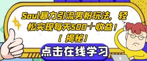 Soul暴力引流男粉玩法,轻松实现每天500+收益!【揭秘】-聚富社