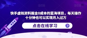 快手虚拟资料掘金0成本的蓝海项目,每天操作十分钟也可以实现月入过万【揭秘】-聚富社