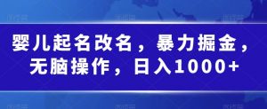 婴儿起名改名,暴力掘金,无脑操作,日入1000+【揭秘】-聚富社