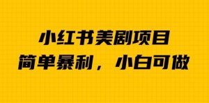 外面卖1980的小红书美剧项目,单日收益1000+,小众暴利的赛道【揭秘】-聚富社