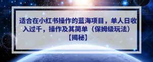 适合在小红书操作的蓝海项目,单人日收入过千,操作及其简单(保姆级玩法)【揭秘】-聚富社