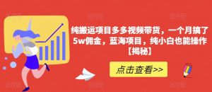 纯搬运项目多多视频带货,一个月搞了5w佣金,蓝海项目,纯小白也能操作【揭秘】-聚富社