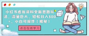 小红书虚拟资料全新思路玩法,流量巨大,轻松日入300+,小白可操作【揭秘】-聚富社