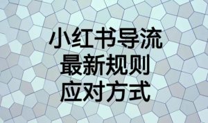 小红书导流最新规则应对方式【揭秘】-聚富社