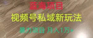 蓝海项目,视频号私域新玩法,暴力项目月入1万+【揭秘】-聚富社