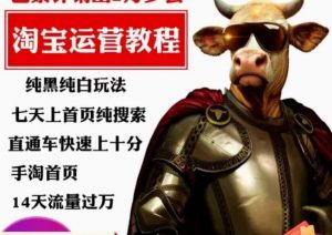 猫老师·淘系算法逆向解密,纯黑纯白玩法,七天上首页纯搜索,手淘首页14天流量过万-聚富社