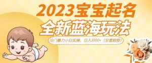 2023宝宝起名全新蓝海玩法,冷门暴力小白实操,日入1000+(全套教程)【揭秘】-聚富社