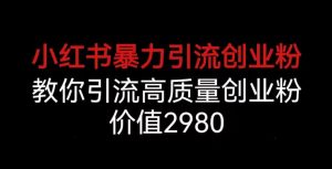 小红书暴力引流创业粉,教你引流高质量创业粉,价值2980【揭秘】-聚富社