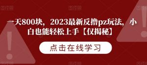 一天800块,2023最新反撸pz玩法,小白也能轻松上手【仅揭秘】-聚富社