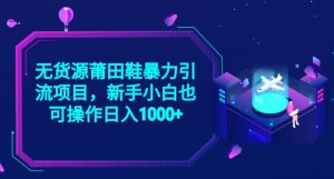 2023无货源莆田鞋暴力引流项目,新手小白也可实操日入1000+【揭秘】-聚富社