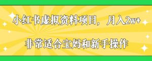 小红书虚拟资料项目,月入2w+,非常适合宝妈和新手操作【揭秘】-聚富社
