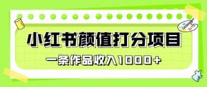 最新蓝海项目,小红书颜值打分项目,一条作品收入1000+【揭秘】-聚富社
