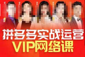 推易拼多多VIP全套直播课程,拼多多店铺实操玩法+实战玩法选款内功+直通车高阶等-聚富社