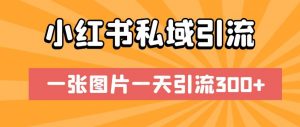 小红书私域引流,一张图片一天引流300+【揭秘】-聚富社