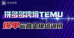 拼多多跨境TEMU爆单运营实操培训班,海外拼多多的选品、运营、爆单-聚富社