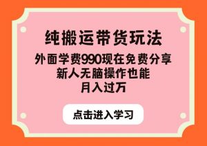 纯搬运带货玩法,外面学费990现在免费分享,新人无脑操作也能月入过万【揭秘】-聚富社
