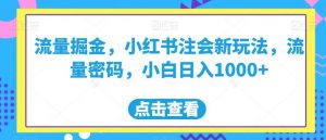 流量掘金,小红书注会新玩法,流量密码,小白日入1000+【揭秘】-聚富社