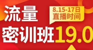 秋秋线上流量密训班19.0,打通流量关卡,线上也能实战流量破局-聚富社