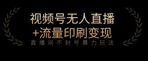 全网首发视频号不封号无人直播暴利玩法+流量印刷机变现,日入1000+【揭秘】-聚富社