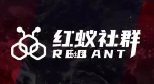 社群运营:红蚁社群【48节落地系统课程+2000人高端社群】-聚富社