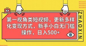 第一视角类短视频,更新多样化变现方式,新手小白无门槛操作,日入500+【揭秘】-聚富社