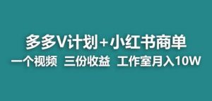 【蓝海项目】多多v计划+小红书商单一个视频三份收益工作室月入10w-聚富社