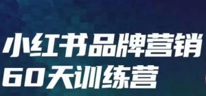 小红书品牌60天训练营第6期,GMV2亿级品牌老板都在学,教会你内容营销底层逻辑-聚富社