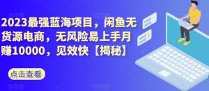 2023最强蓝海项目,闲鱼无货源电商,无风险易上手月赚10000,见效快【揭秘】-聚富社