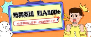 小红书育儿资料,一部手机可操作,多种变现方式,日入500+,私域变现,长期可持续项目【揭秘】-聚富社