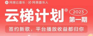 2023年8月份网易云最新独家挂机技术,真正实现挂机月入5000【揭秘】-聚富社