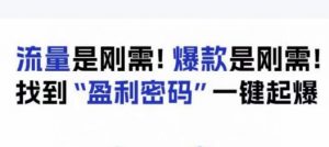 电商盈利精品课:6大盈利密码让产品更好卖,流量是刚需!爆款是刚需!找到”盈利密码”一键起爆-聚富社