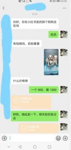外边收费3980的同城萌宠项目,用最冷门的玩法冲击最热门的市场【揭秘】-聚富社