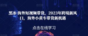 黑冰·海外短视频带货,2023年跨境新风口,海外小黄车带货新机遇-聚富社