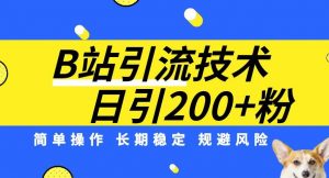 B站引流技术:每天引流200精准粉,简单操作,长期稳定,规避风险-聚富社