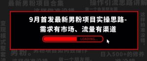 9月首发最新男粉项目实操思路-需求有市场,流量有渠道【揭秘】-聚富社