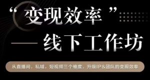 变现效率线下工作坊,从播直间、私域、视短频个三维度,升级IP和团队变现效率-聚富社