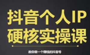个人IP创富系统实战课,商业定位,流量打造,短视频变现,教你做个赚钱的抖音号-聚富社