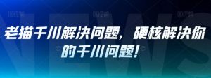 老猫千川解决问题,硬核解决你的千川问题!-聚富社