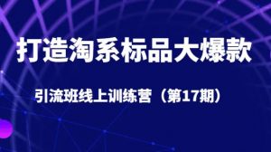 打造淘系标品大爆款引流班线上训练营(第17期)5天直播授课-聚富社