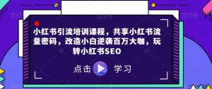 小红书引流培训课程,共享小红书流量密码,改造小白逆袭百万大咖,玩转小红书SEO-聚富社