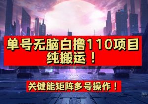 9月全网首发,单号直接白撸110!可多号操作,无脑搬运复制粘贴【揭秘】-聚富社