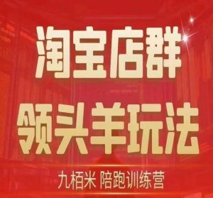 九栢米-淘宝店群领头羊玩法,教你整个淘宝店群领头羊玩法以及精细化/终极蓝海/尾销等内容-聚富社